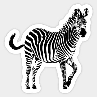 Frisky Zebra in Black and White | African Wildlife Sticker